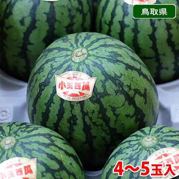 鳥取県産 小玉すいか 大栄スイカ 秀品 L〜2Lサイズ 4〜5玉入り （箱