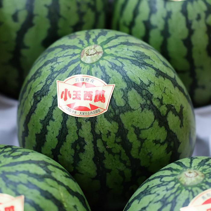 鳥取県産 小玉すいか 大栄スイカ 秀品 L〜2Lサイズ 4〜5玉入り