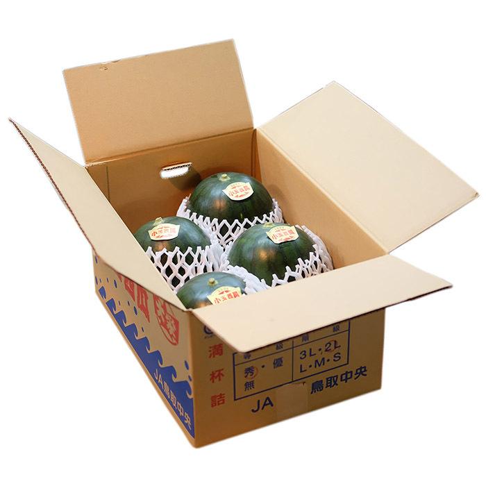 鳥取県産 小玉すいか 大栄スイカ 秀品 L〜2Lサイズ 4〜5玉入り （箱