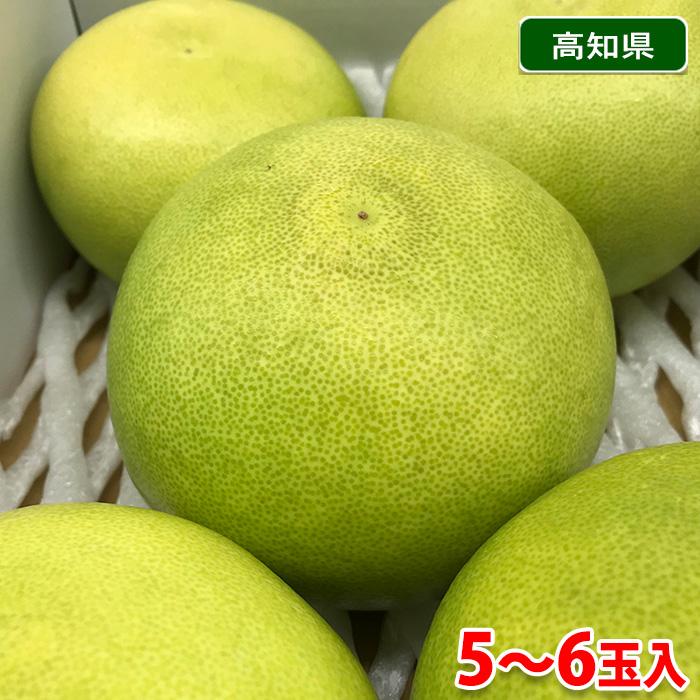 高知県産 水晶文旦 5 6玉入り 化粧箱 生鮮卸売市場 通販 Yahoo ショッピング
