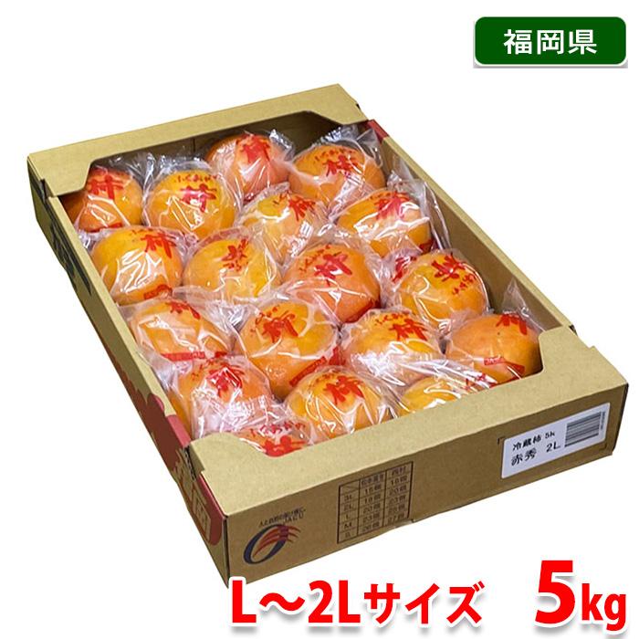 福岡県産 冷蔵柿 富有柿 秀品 L〜2Lサイズ 5kg（箱） : 生鮮卸売市場
