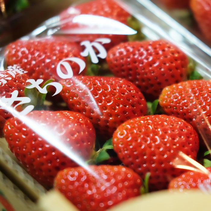 徳島県産　さちのか　1パック約280ｇ×16パック　クール便発送 r11610574.jpg