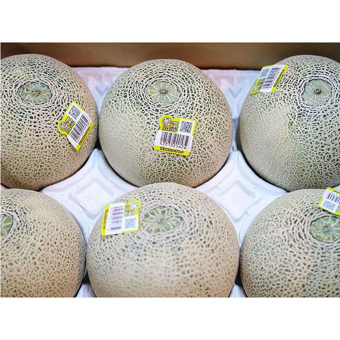 茨城県産 オトメメロン 秀品 5〜6玉入（箱） : 生鮮卸売市場 - 通販 