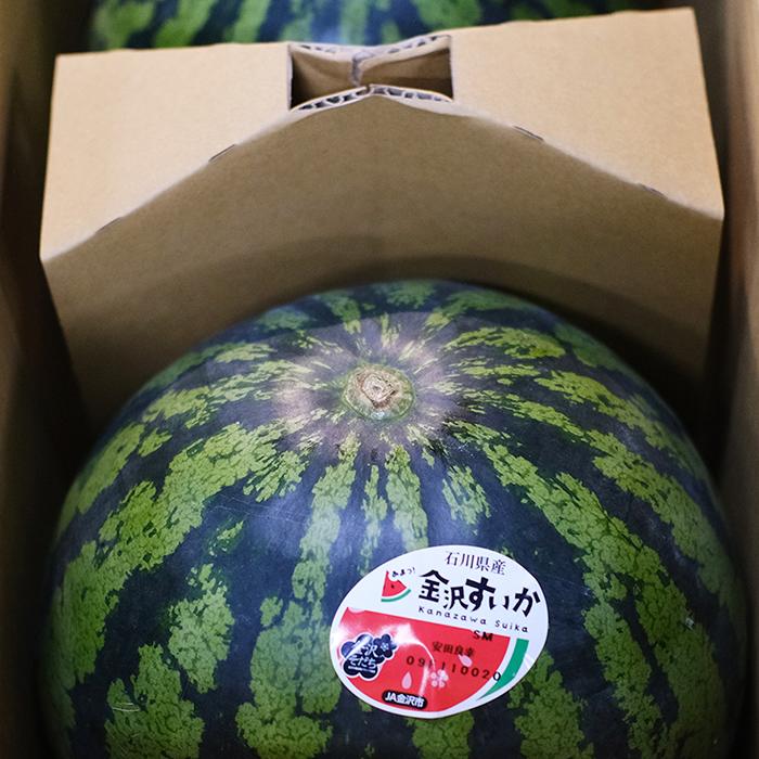 石川県産 金沢すいか 秀品 Mサイズ 2玉入り （箱） 国産 すいか 2個