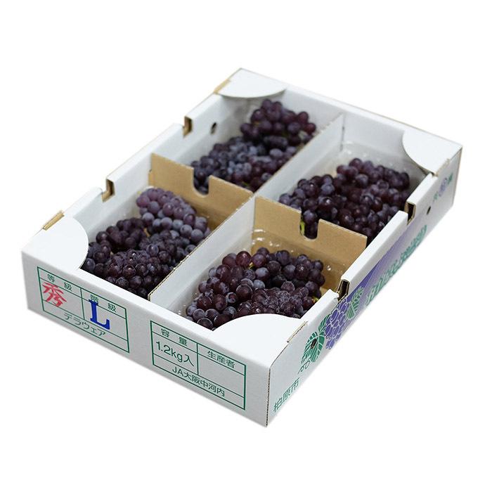 デラウェア　４kg　クール便 デラウェア 4kg クール便 デラウェア 4kg クール便