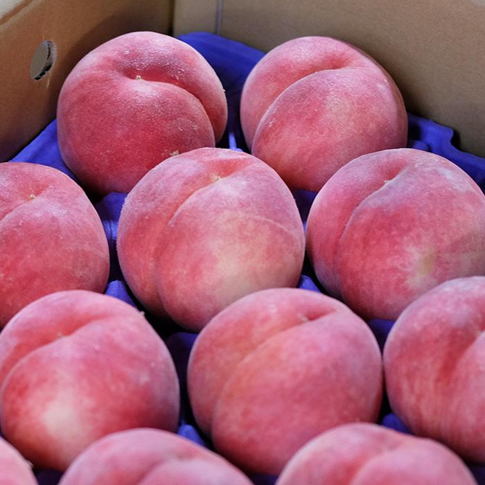 山形県産 桃 美晴白桃 （みはるはくとう） 秀品 15〜18玉入り （箱