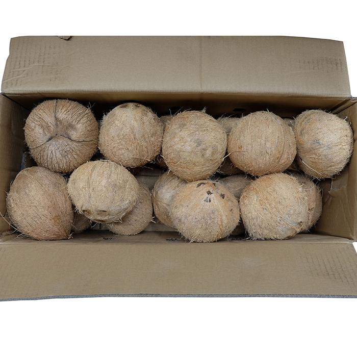 ベトナム産 ココナッツ 「GENUINE COCONUT」 12玉入 (箱 ベトナム産 ココナッツ 「GENUINE COCONUT」 12玉入 (箱