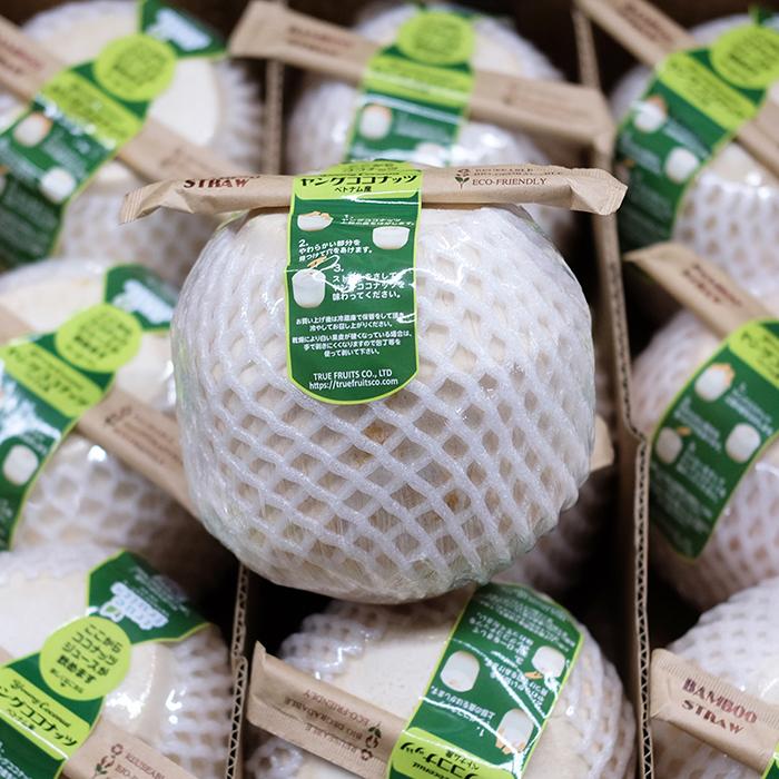ベトナム産 ココナッツ 「ヤングココナッツ」 12玉入り （箱） : 生鮮