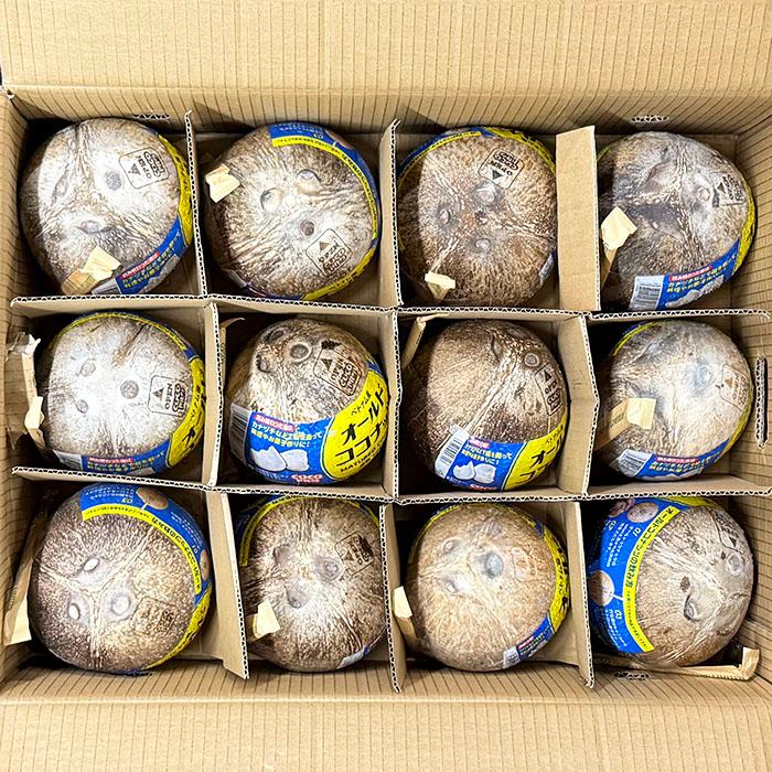 ベトナム産 ココナッツ 12玉入 約10kg （箱） ストロー付き オールド