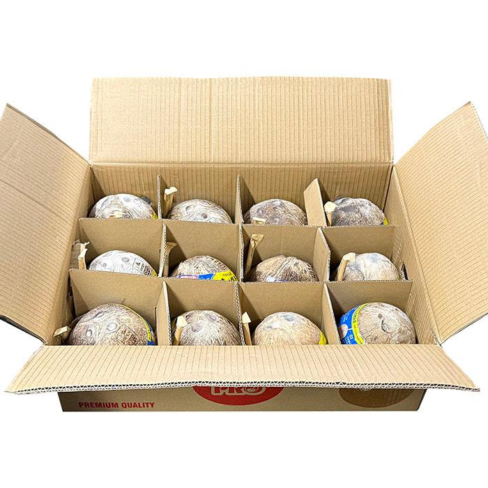 ベトナム産 ココナッツ 12玉入 約10kg （箱） ストロー付き オールド