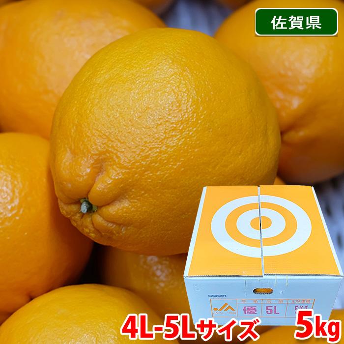 佐賀県産 にじゅうまる 優品 4L〜5Lサイズ 5kg （箱） 高級 柑橘