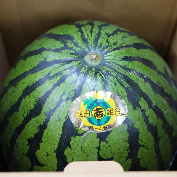 スイカ 千葉県産 成田西瓜（クリーム西瓜）秀品 4L〜5Lサイズ 1玉入（箱