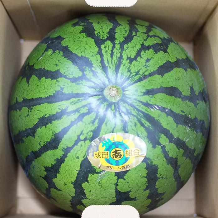 新鮮 西瓜 4L 秀等級2玉 鳥取県産 すいか 大栄西瓜 無印 4Lサイズ