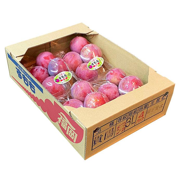 福岡県産 すもも 秀品 L〜3Lサイズ 4パック入り （箱） : 生鮮卸売市場