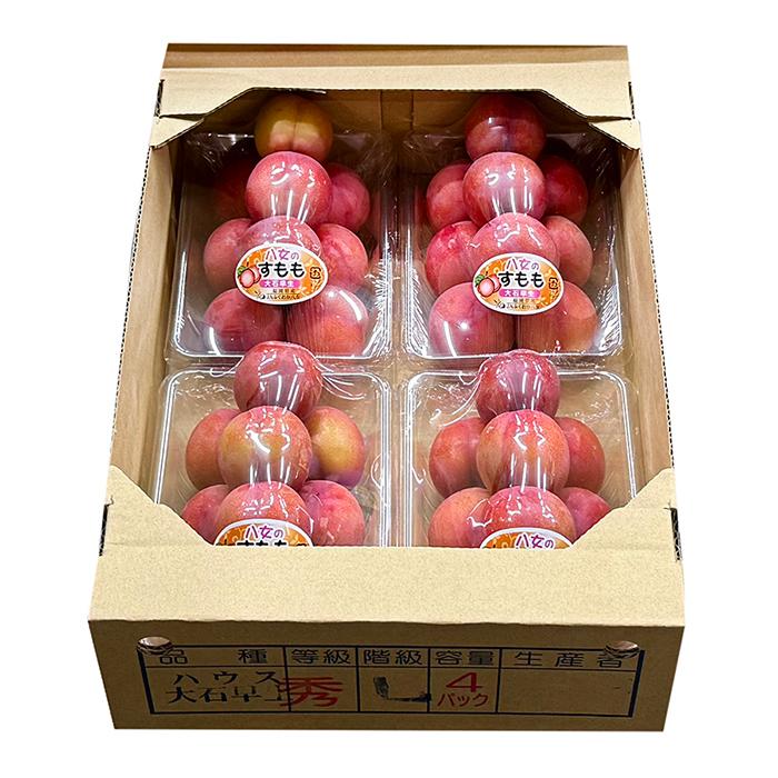新鮮 多数 すもも　4キロ 福岡県産 ハウス すもも 秀品 L〜3Lサイズ 4パック入り （箱） : 生鮮