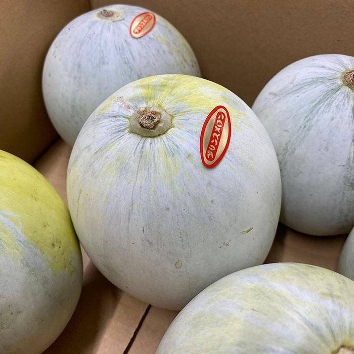 韓国メロン15玉入り 24-23-1.jpg