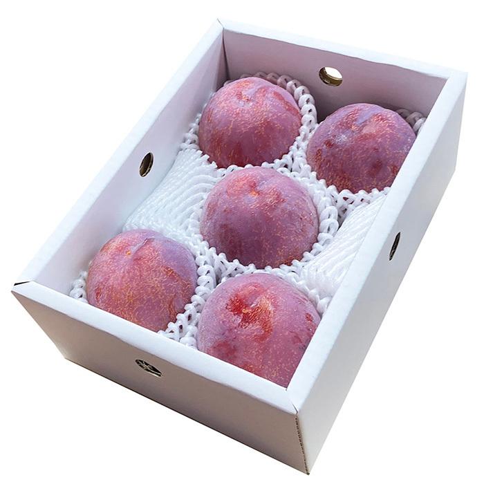 福岡県産 プラム （すもも） 貴陽 5〜6玉入 （化粧箱） : 生鮮卸売市場