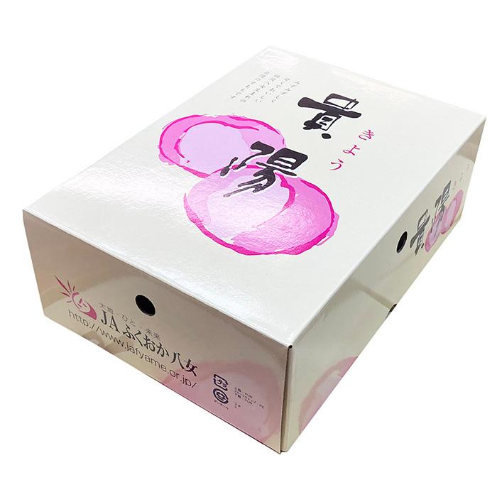 福岡県産 プラム （すもも） 貴陽 5〜6玉入 （化粧箱） : 生鮮卸売市場