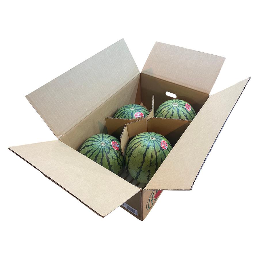 西瓜2玉3L-4L 石川県産 こだま西瓜（小玉すいか）秀品 3L〜4Lサイズ（3〜4玉入）（箱