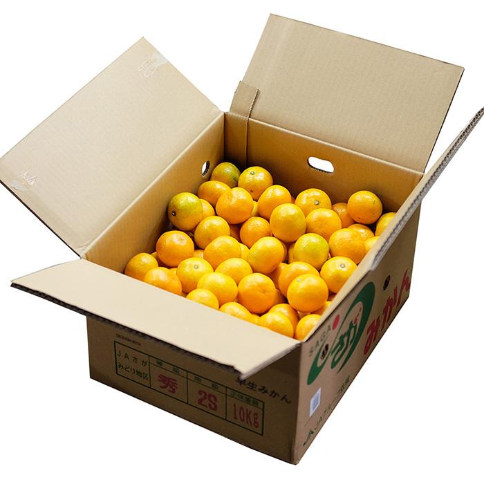 佐賀県産 さがみかん JAさが 秀品 2S〜Sサイズ 10kg （箱） 国産