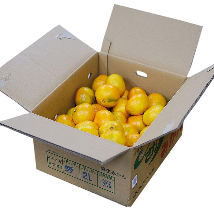 佐賀県産 さがみかん JAさが 秀品 2Lサイズ 9kg （箱） 国産 フルーツ