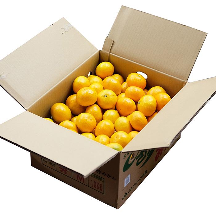 佐賀県産 さがみかん JAさが 秀品 M〜Lサイズ 10kg （箱） 国産