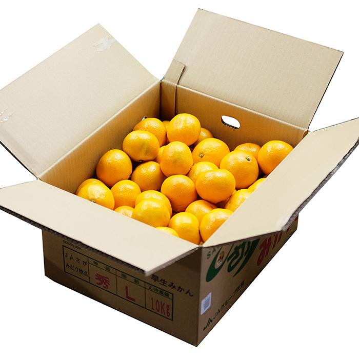 佐賀県産 さがみかん JAさが 秀品 M〜Lサイズ 10kg （箱） 国産