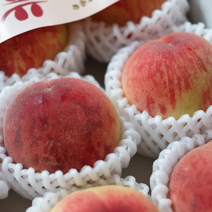 大阪府産 かねちか （包近） 桃 秀品 12〜15玉入り 約4kg （化粧箱