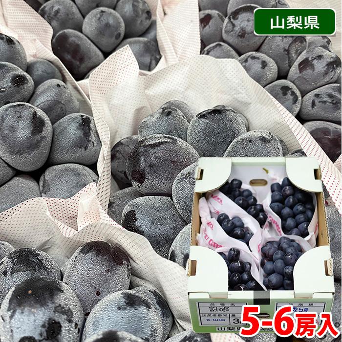 山梨県産 ぶどう 富士の輝 （富士の輝き） 特秀 5〜6房前後入 約