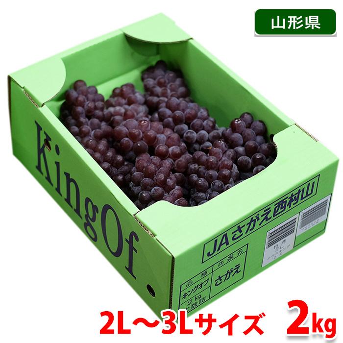 山形県産 種なし キング オブ デラウエア 秀品 2L〜3Lサイズ 2kg （箱 