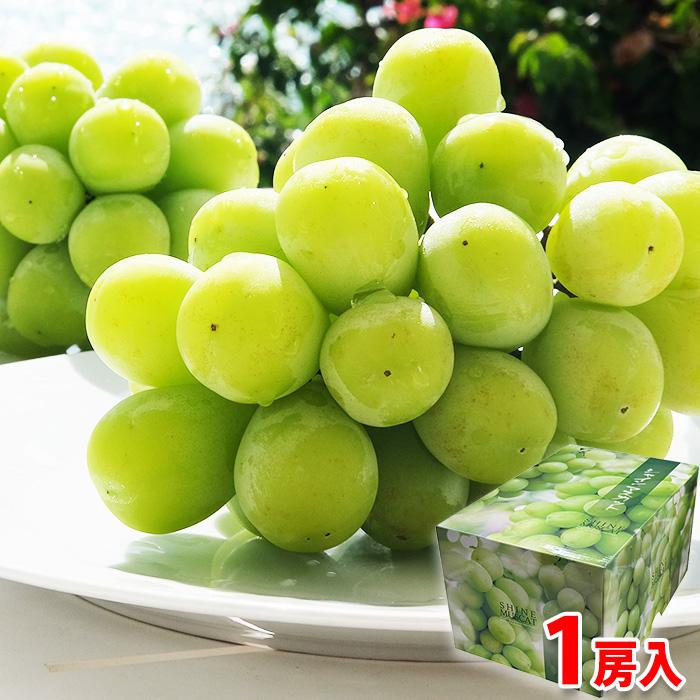 山梨県産他 シャインマスカット 秀品 1房入 約550g〜600g （化粧箱