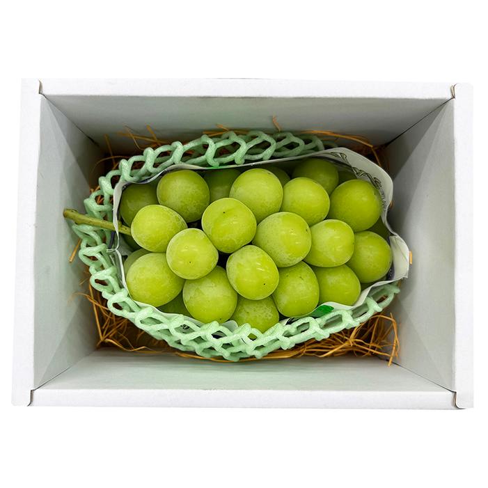 山梨県産他 シャインマスカット 秀品 1房入 約550g〜600g （化粧箱