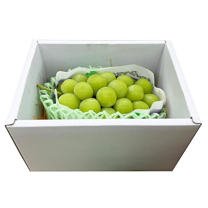 山梨県産他 シャインマスカット 秀品 1房入 約550g〜600g （化粧箱