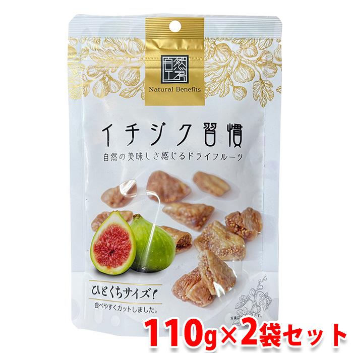 日興フーズ イチジク習慣 110g×2袋セット ドライフルーツ セット