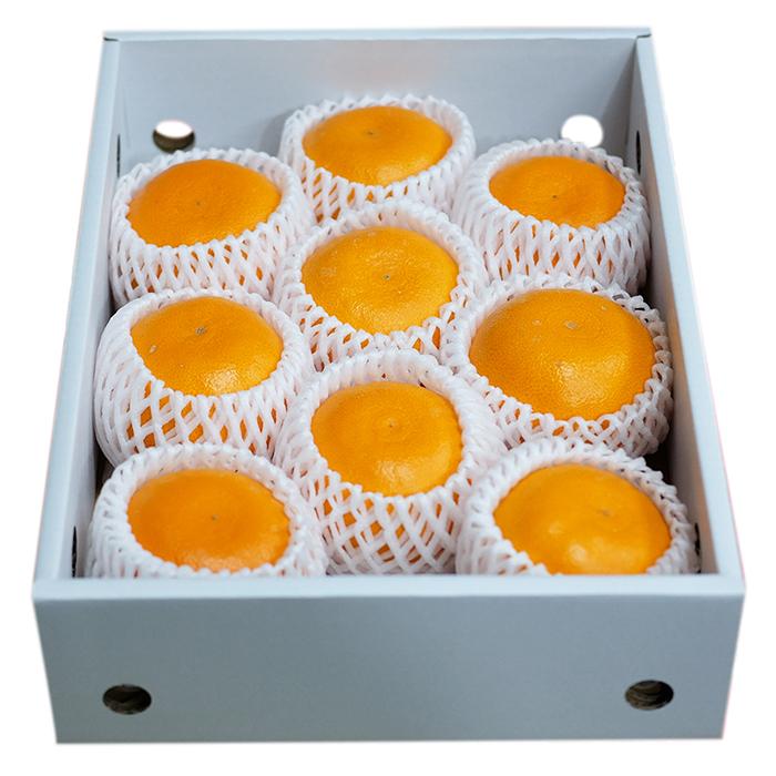 せとか 9玉入 (すごく小玉サイズ) ×4箱 香川県産 せとか 秀品 9〜12玉入 （化粧箱） 国産 フルーツ みかん
