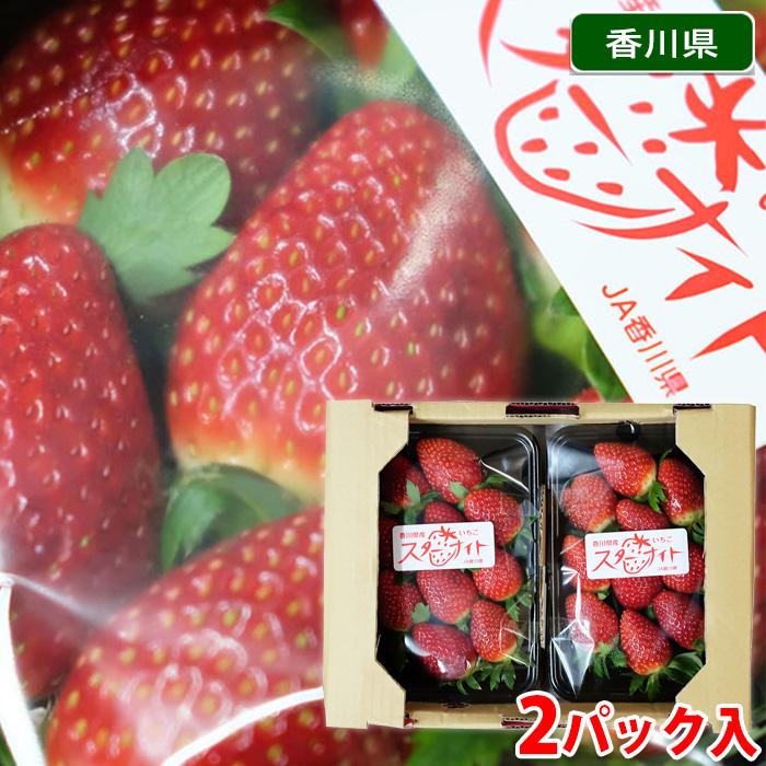 ‼️期間限定‼️【クール便送料込】スターナイト朝採いちご2箱8パック入2kg以上 食品 ‼️期間限定‼️【クール便送料込】スターナイト朝採いちご2箱