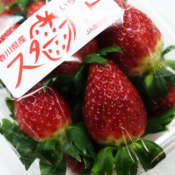 香川県産 いちご スターナイト 2パック入 （箱） 国産 果物 フルーツ