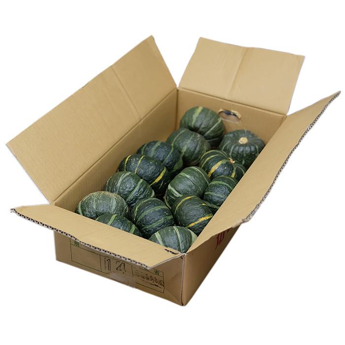北海道産 坊ちゃん南瓜 12個〜16個入り／箱（約5kg） : 生鮮卸売市場