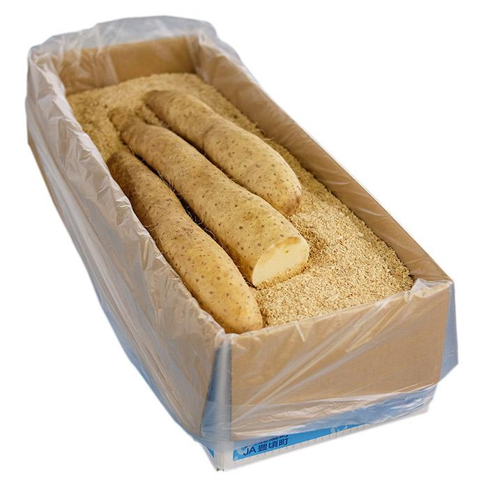 北海道産 長芋 （長いも） L〜3Lサイズ （9〜15本入） 10kg