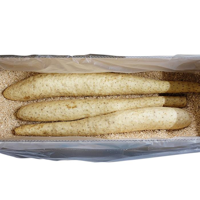 北海道産 長芋 （長いも） L〜3Lサイズ （9〜15本入） 10kg : 生鮮卸売