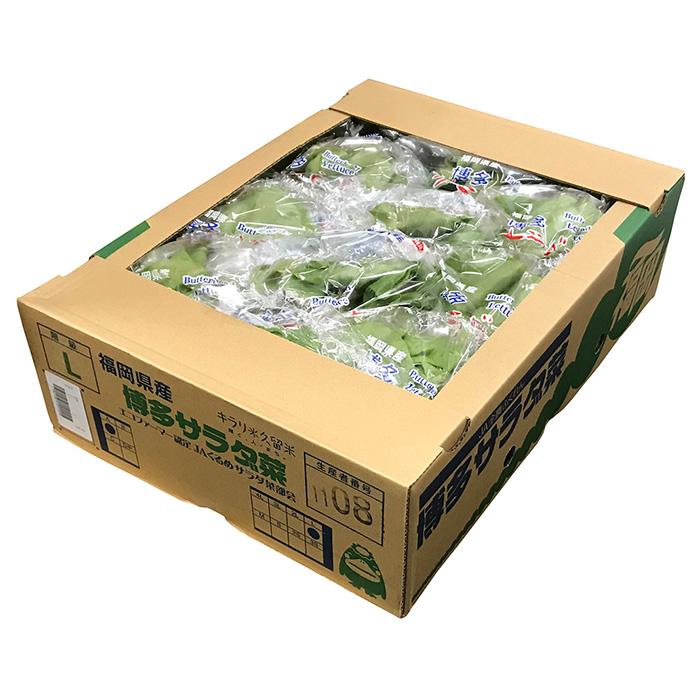 専用出品です。S様ご注文分 福岡聖菜 山﨑空 他 福岡聖菜 - Search / X