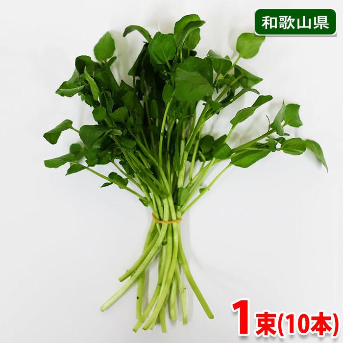和歌山県産 クレソン 秀品 1束10本（約10g） : 生鮮卸売市場 - 通販