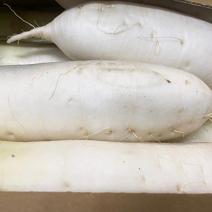 北海道産 大根（だいこん）A等級 L〜2Lサイズ 8〜10本入（約10kg