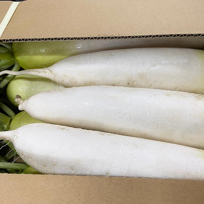 北海道産 大根（だいこん）A等級 L〜2Lサイズ 8〜10本入（約10kg