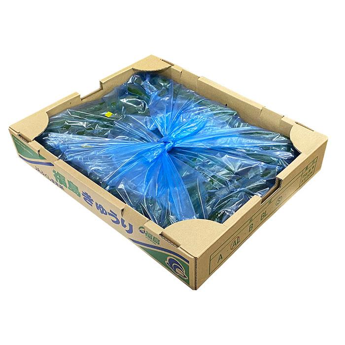 福島県産 きゅうり A品 5kg L〜Mサイズ （約40〜50本入り） : 生鮮卸売