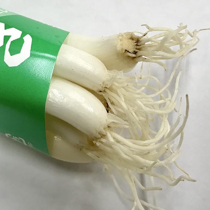 広島県産 わけぎ 80 100g 1束 21710031 1 生鮮卸売市場 通販 Yahoo ショッピング