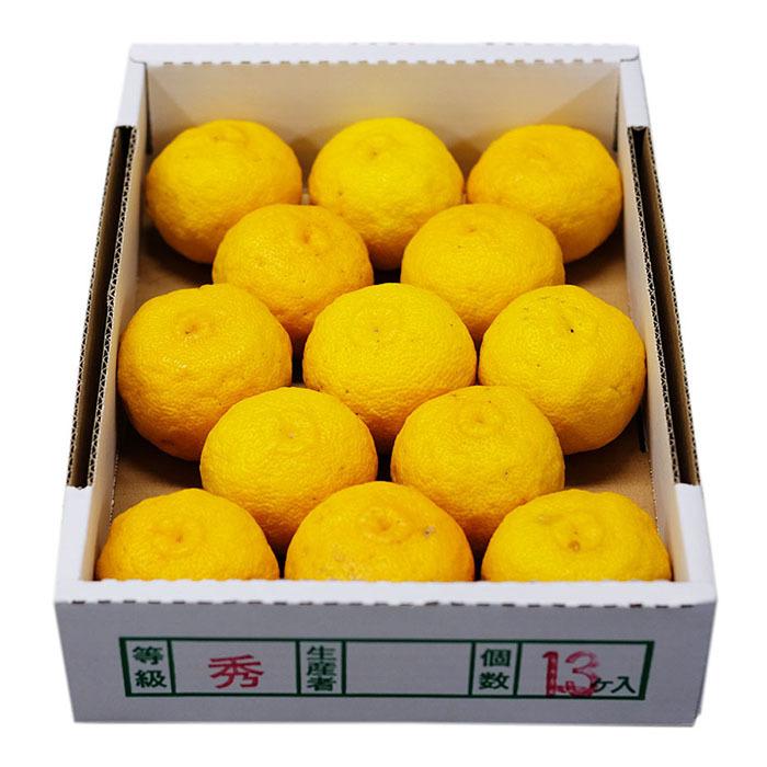 15 黄柚子 本柚子 箱込み7kg 大玉 徳島県産 黄色柚子 （きいろゆず） 10〜15玉入り 約1.3kg （化粧箱