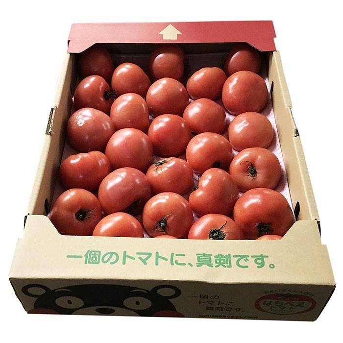 熊本県産 トマト 等級A・S〜Mサイズ(24〜28玉入) 約4kg : 生鮮 熊本県産 トマト 等級A・S〜Mサイズ(24〜28玉入) 約4kg : 生鮮