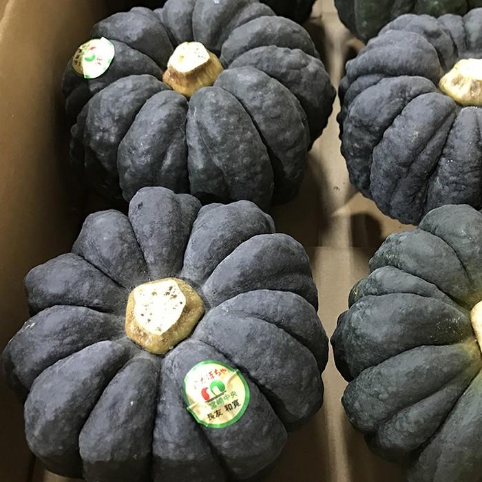 宮崎県産 黒皮かぼちゃ Lサイズ 5〜6個入り 5kg : 生鮮卸売市場 - 通販