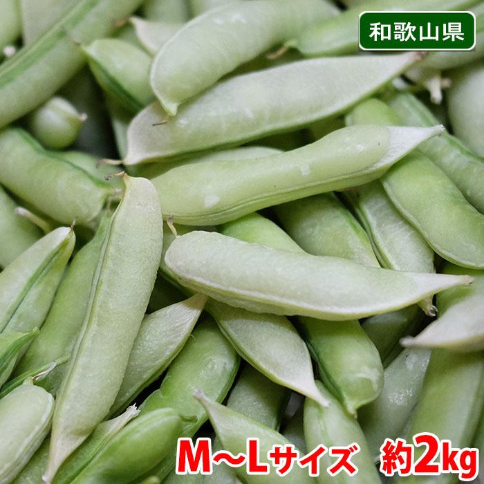 22年12月分予約 和歌山産うすい 実えんどう 約2kg入